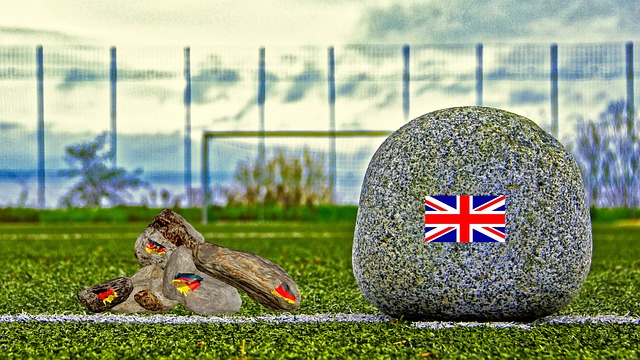 NBA冠军后卫！Scotto：自由球员奎因-库克将签约福建队.