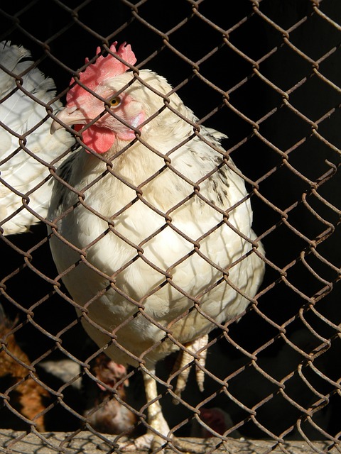 分端有着出 分端有着出