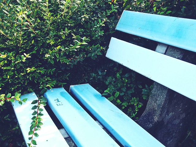 土耳其裁判 土耳其裁判